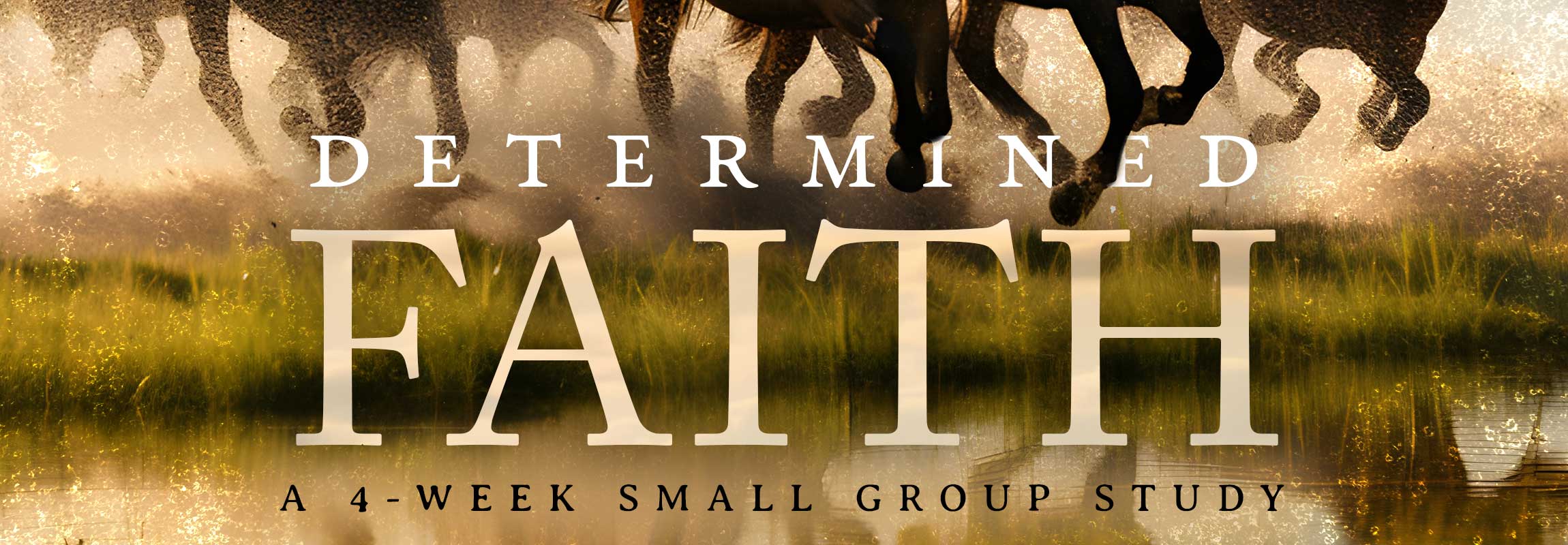 Determined Faith Small Group Study